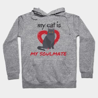 My cat is my soulmate Hoodie